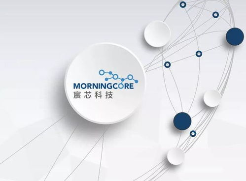 西海岸數(shù)字經(jīng)濟(jì)產(chǎn)業(yè)新篇章 300余家企業(yè)匯聚，技術(shù)開(kāi)發(fā)引領(lǐng)未來(lái)